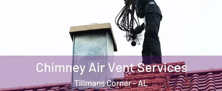 Chimney Air Vent Services Tillmans Corner - AL