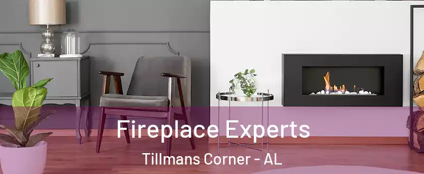  Fireplace Experts Tillmans Corner - AL