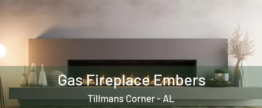  Gas Fireplace Embers Tillmans Corner - AL