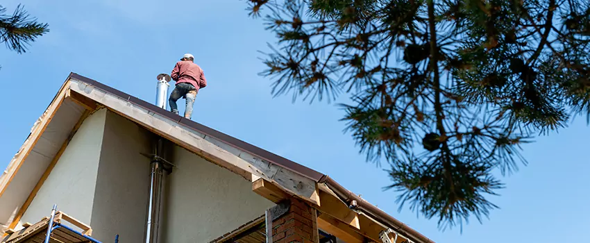 Birds Removal Contractors from Chimney in Tillmans Corner, AL